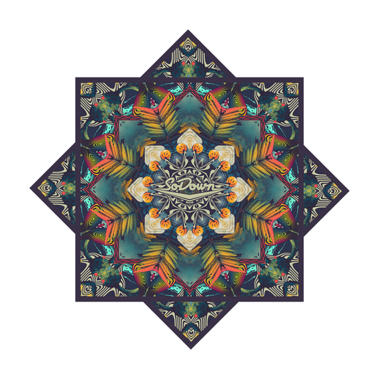 Colors Of The Mind Flo Star